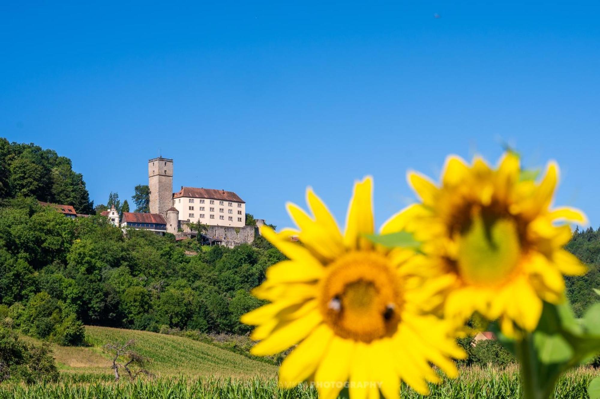 Wohnen Auf Der Ritterburg Villa Hassmersheim Bagian luar foto